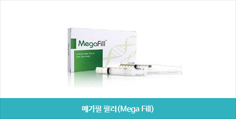 메가필 필러