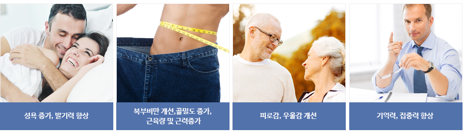 남성호르몬의 여러가지 기능